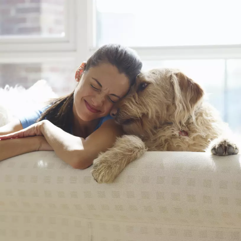 Mujer jugando con su perro sentada en el sofá